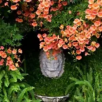 La Cervara Bed & Breakfast Santa Margherita Ligure