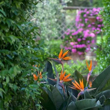 Bed & Breakfast La Cervara Santa Margherita Ligure